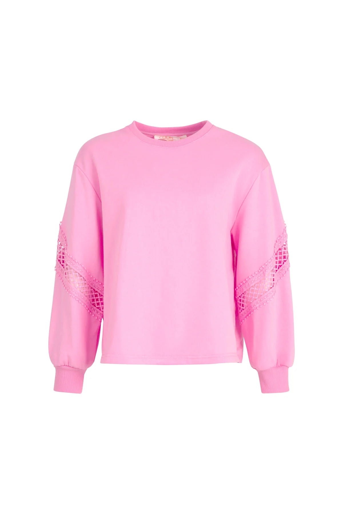 COOP SWEATER THAN HONEY SWEATSHIRT - PINK - THE VOGUE STORE