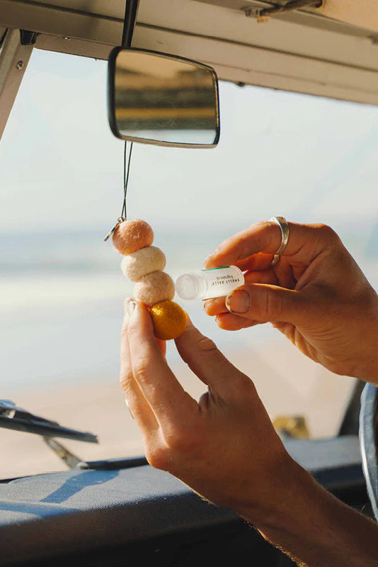 SMELLY BALLS AIR FRESHENER SUN SEEKER SET - COCONUT LIME - THE VOGUE STORE